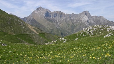 Veduta del gruppo delle Panie dal M. Croce